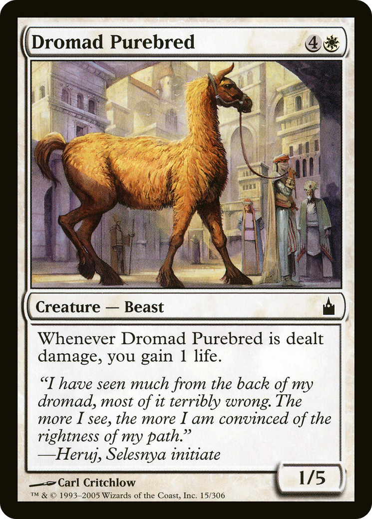 Dromad Purebred (RAV-015)