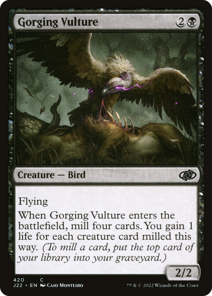 Gorging Vulture (J22-420)