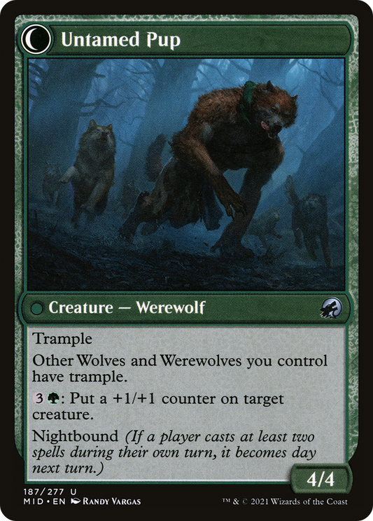 Hound Tamer // Untamed Pup (MID-187) (Foil)