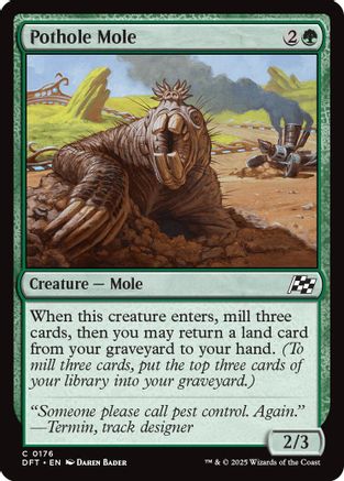 Pothole Mole (DFT-176)