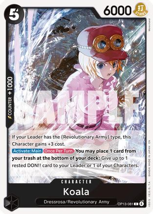 Koala (OP13-081)