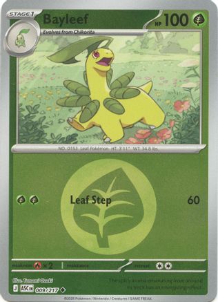 Bayleef (Energy Symbol Pattern) (ASC-009) (Reverse Holofoil)