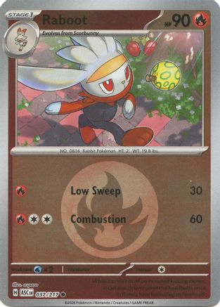 Raboot (Energy Symbol Pattern) (ASC-037) (Reverse Holofoil)