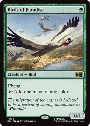 Birds of Paradise (MSC-170)
