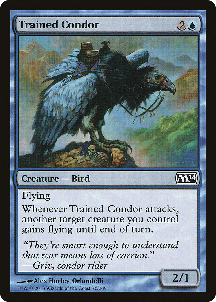 Trained Condor (M14-076)