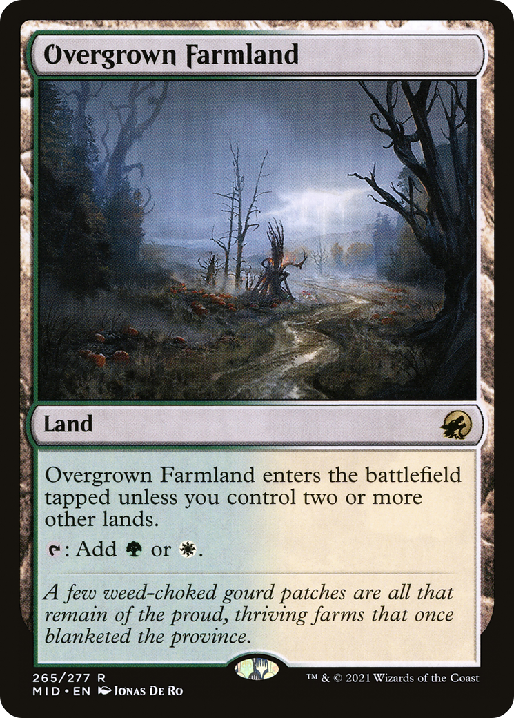 Overgrown Farmland (MID-265)