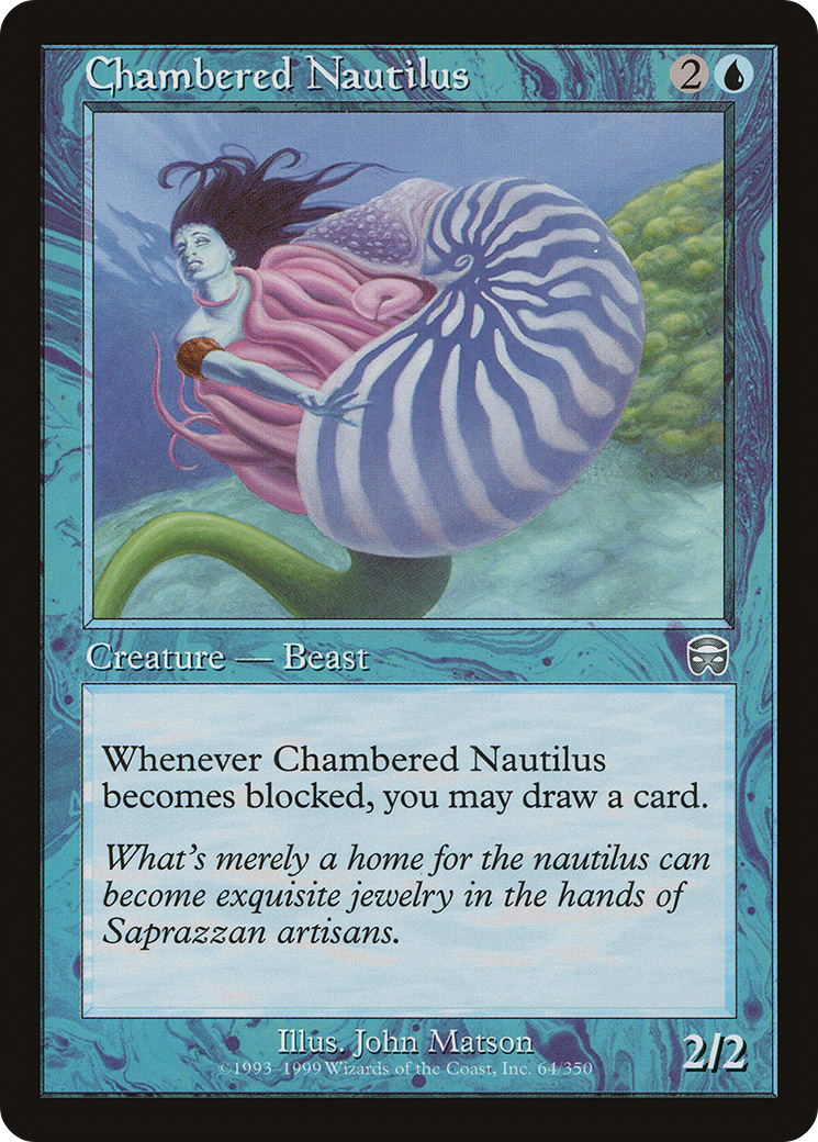 Chambered Nautilus (MMQ-064)