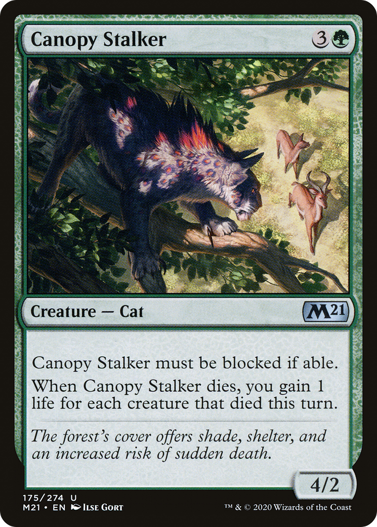 Canopy Stalker (M21-175)