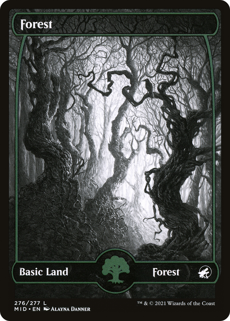 Forest (MID-276) (Full Art, Showcase) (Foil)
