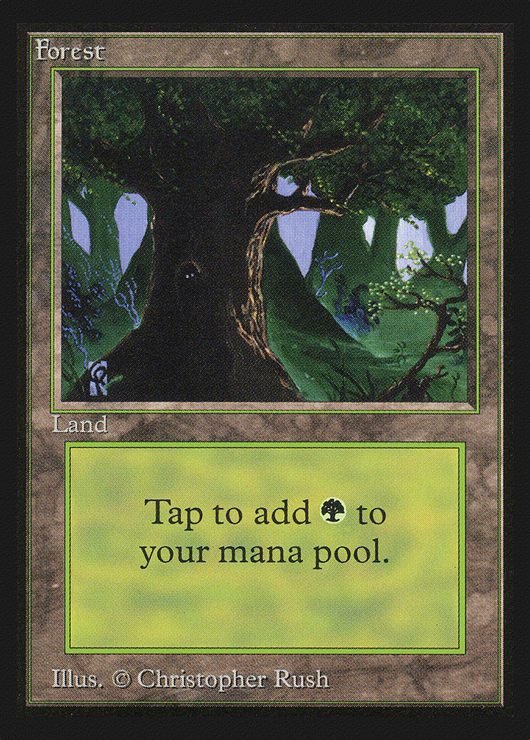 Forest (CED-302)