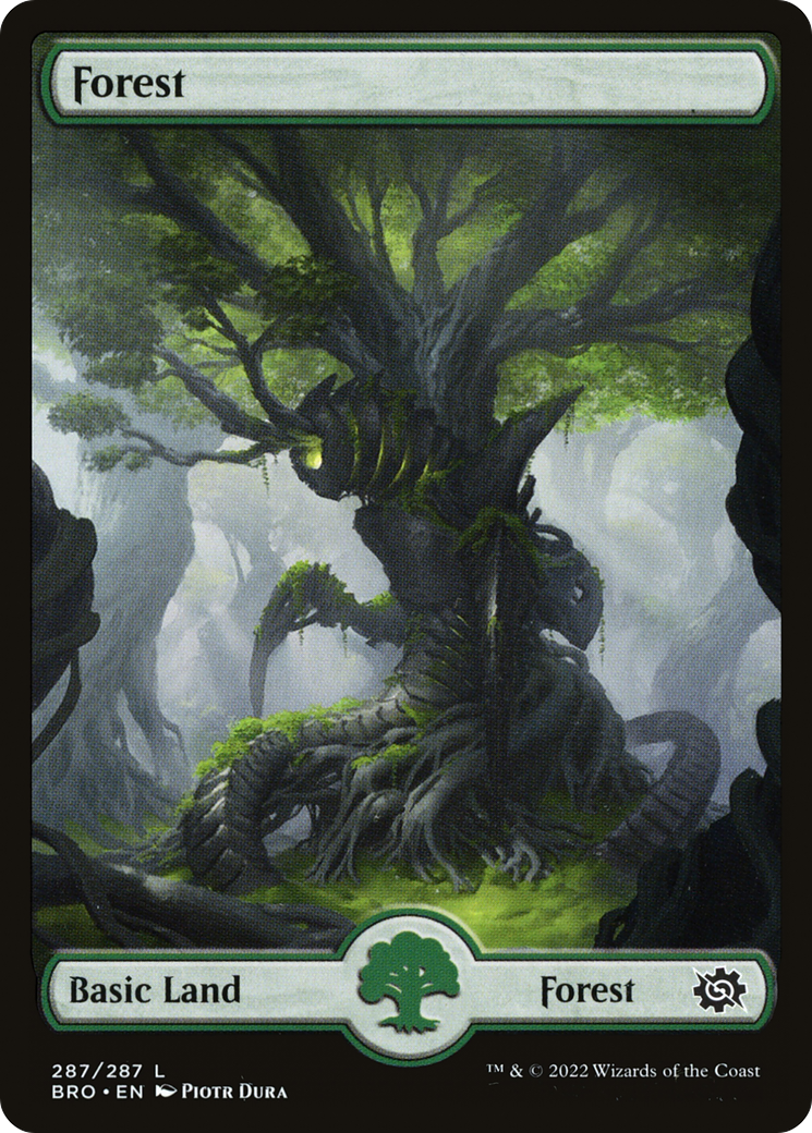 Forest (BRO-287) (Foil)