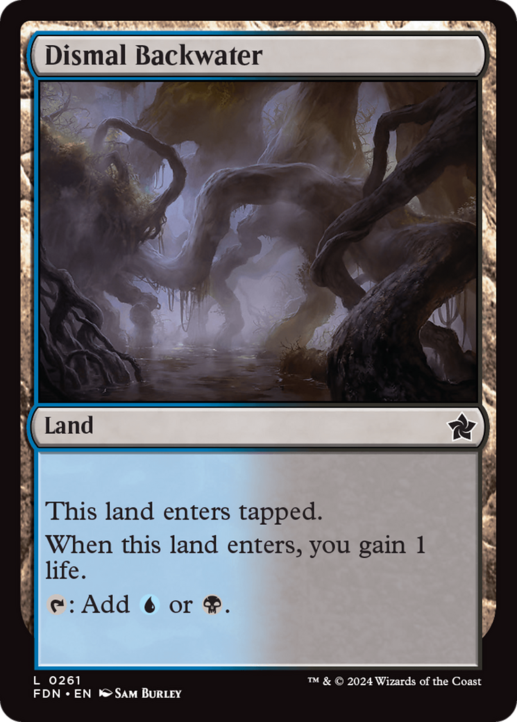 Dismal Backwater (FDN-261)