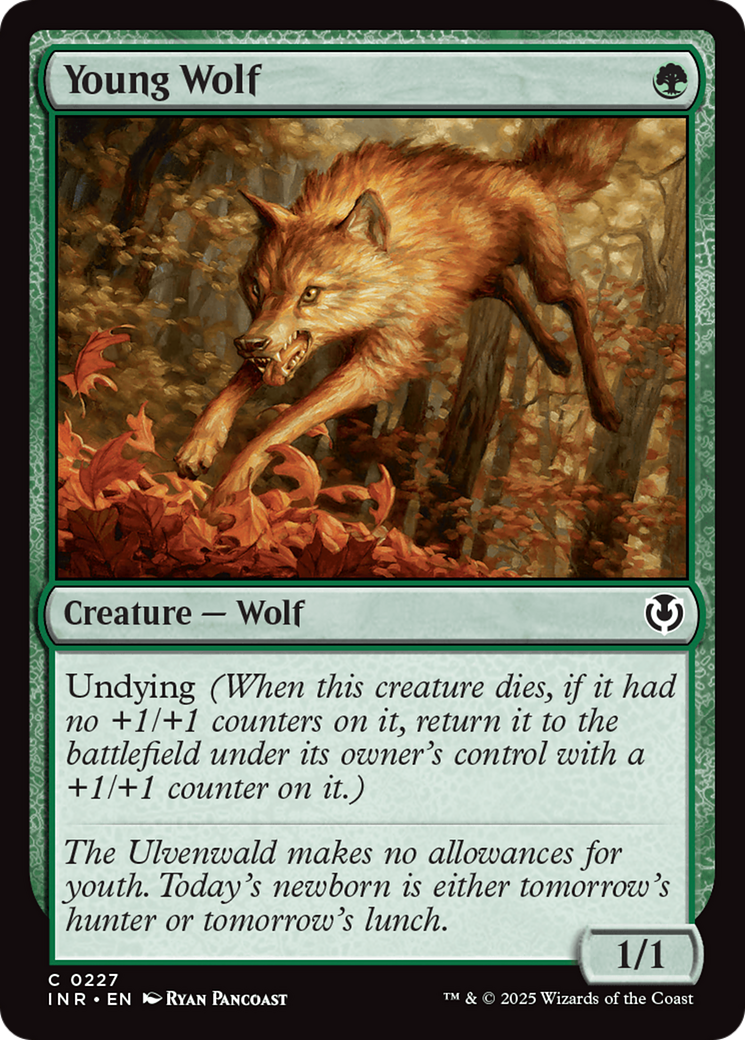 Young Wolf (INR-227) (Foil)