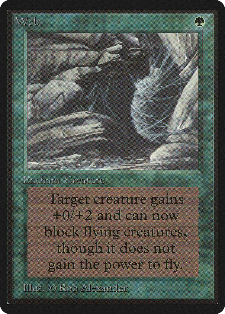 Web (LEB-229)