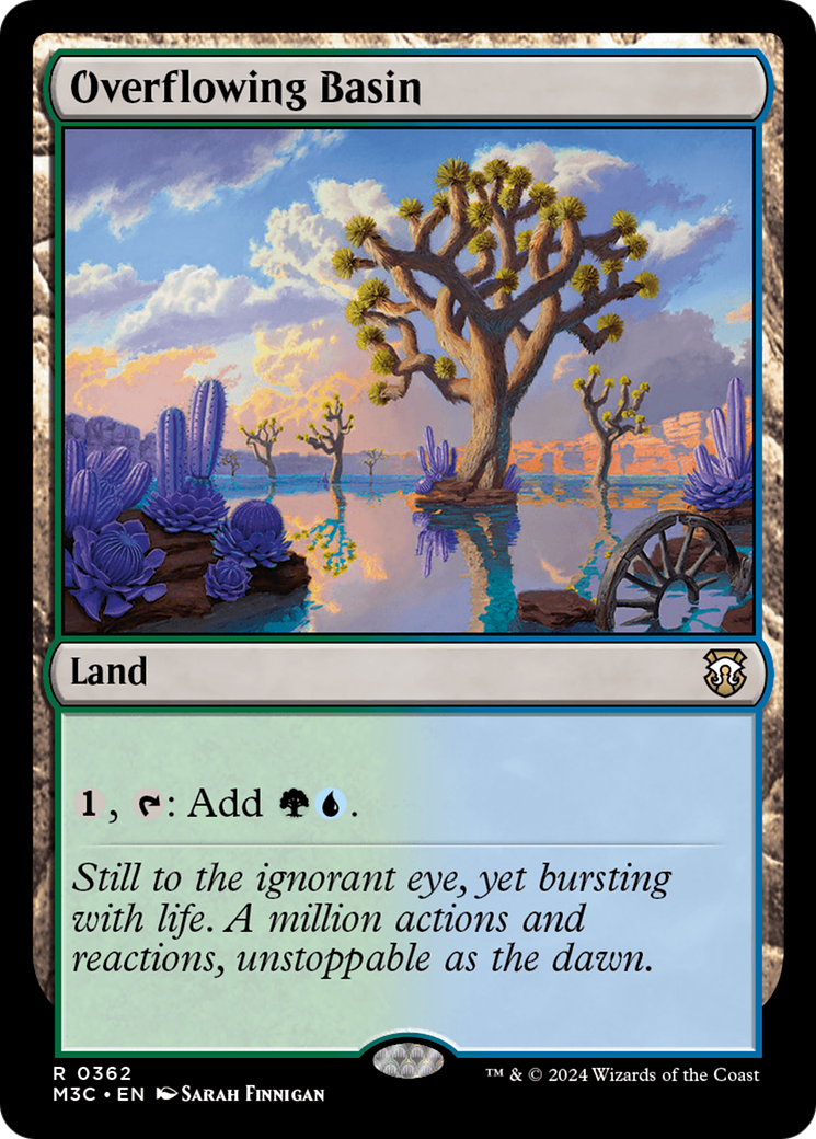 Overflowing Basin (M3C-362)
