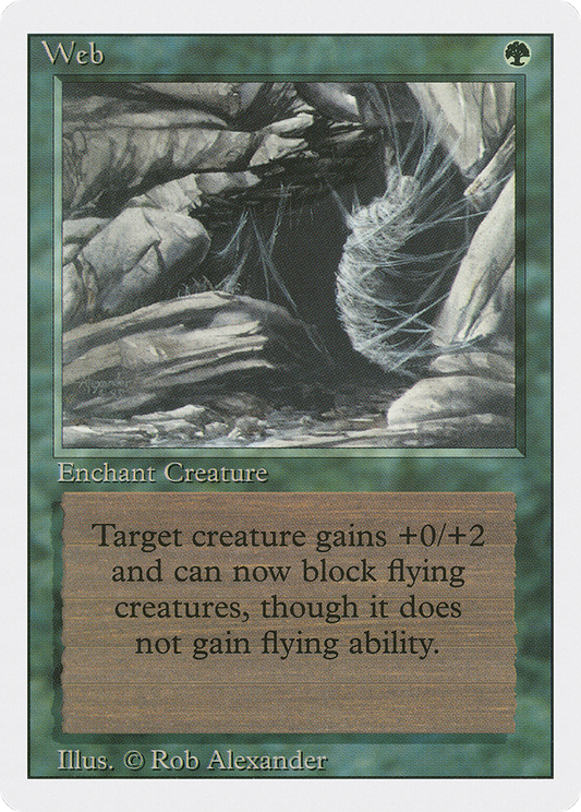 Web (3ED-229)