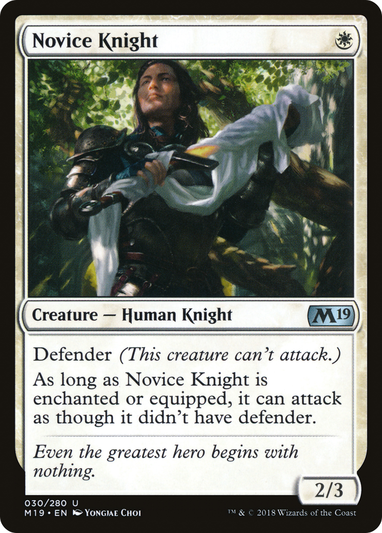 Novice Knight (M19-030)