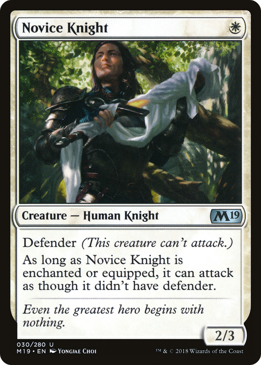 Novice Knight (M19-030)