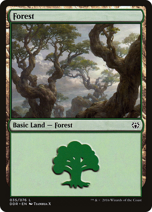 Forest (DDR-035)