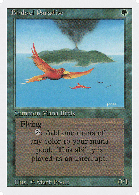 Birds of Paradise (3ED-187)