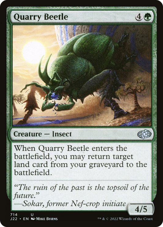 Quarry Beetle (J22-714)