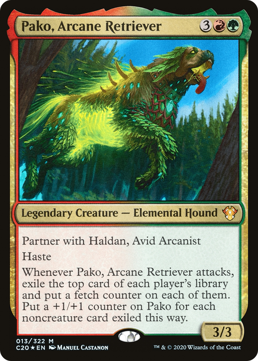 Pako, Arcane Retriever (C20-013) (Foil)