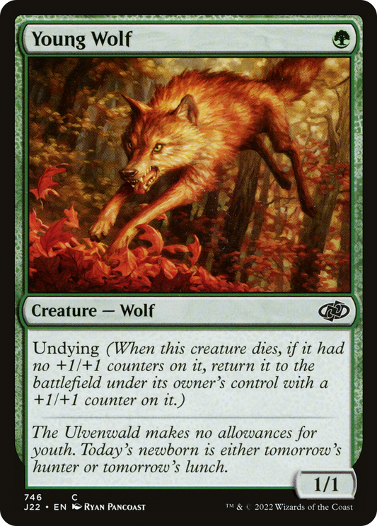 Young Wolf (J22-746)