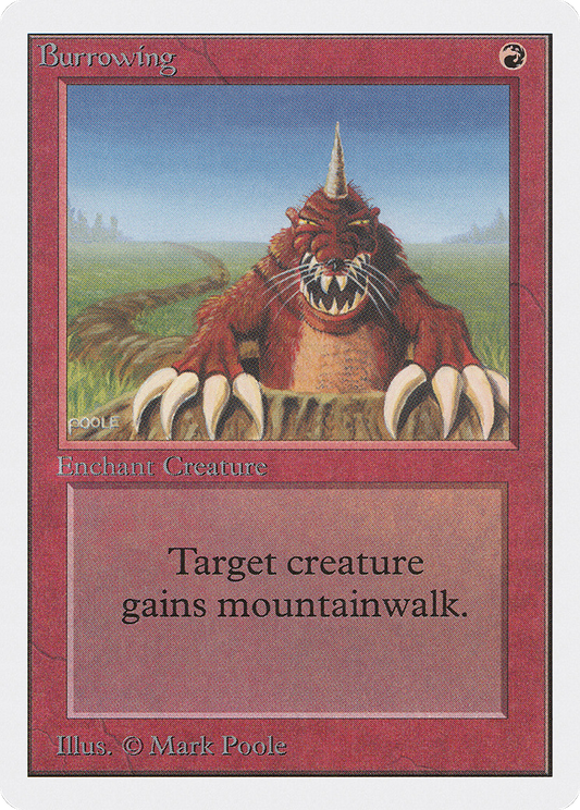 Burrowing (2ED-139)