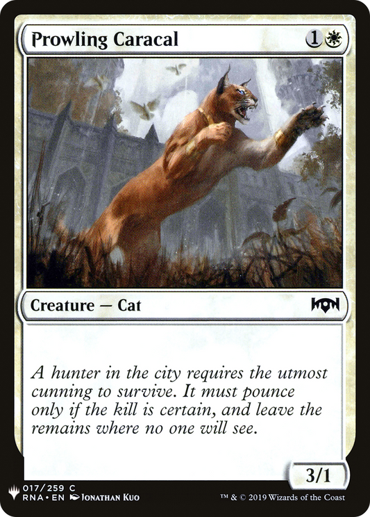 Prowling Caracal (LIST-RNA-17)
