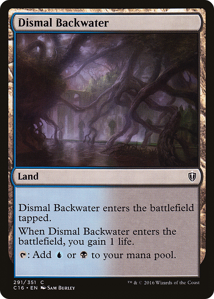 Dismal Backwater (C16-291)