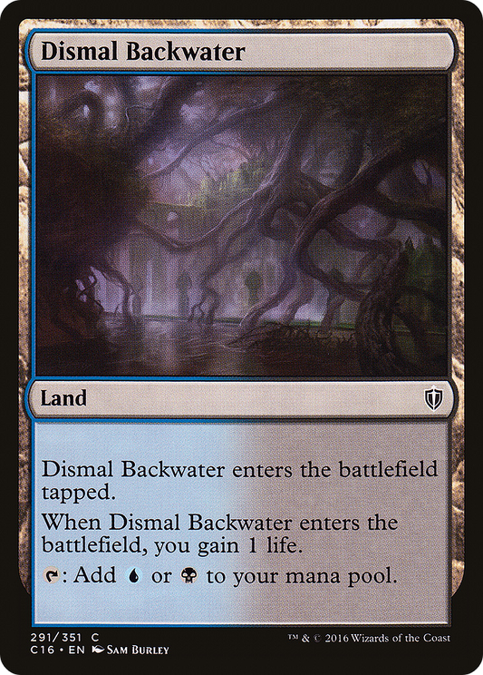 Dismal Backwater (C16-291)