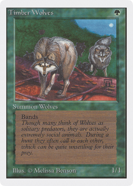 Timber Wolves (2ED-220)