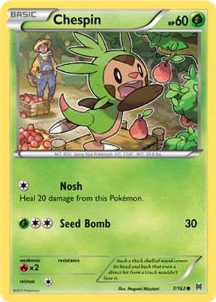 Chespin (7) (BKT-007) (Reverse Holofoil)