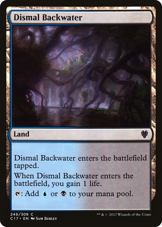 Dismal Backwater (C17-246)