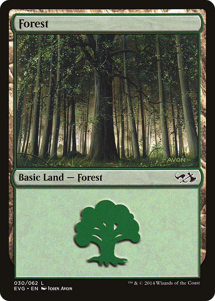 Forest (DD3-030)