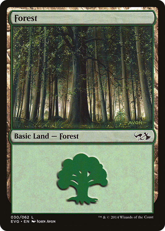 Forest (DD3-030)