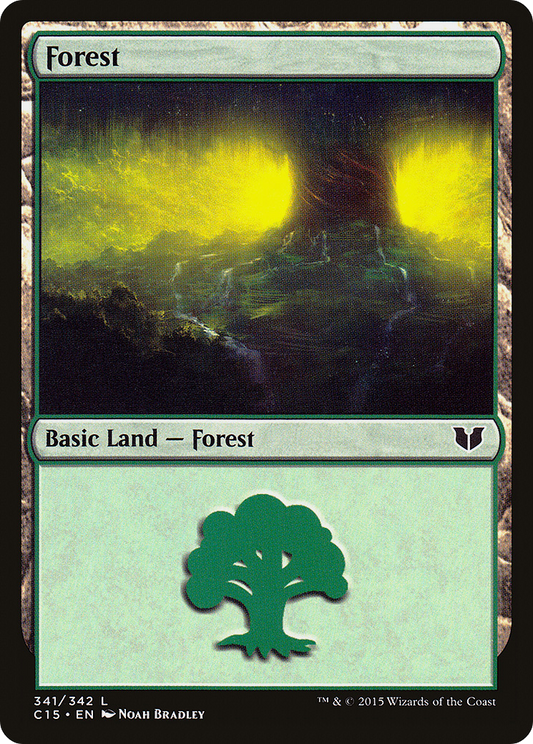 Forest (C15-341)