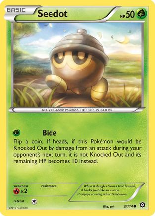 Seedot (STS-009) (Reverse Holofoil)