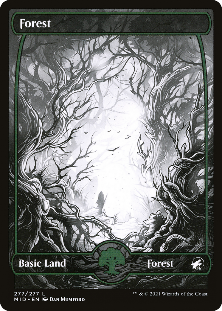 Forest (MID-277) (Full Art, Showcase) (Foil)