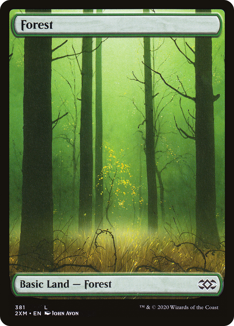 Forest (2XM-381)