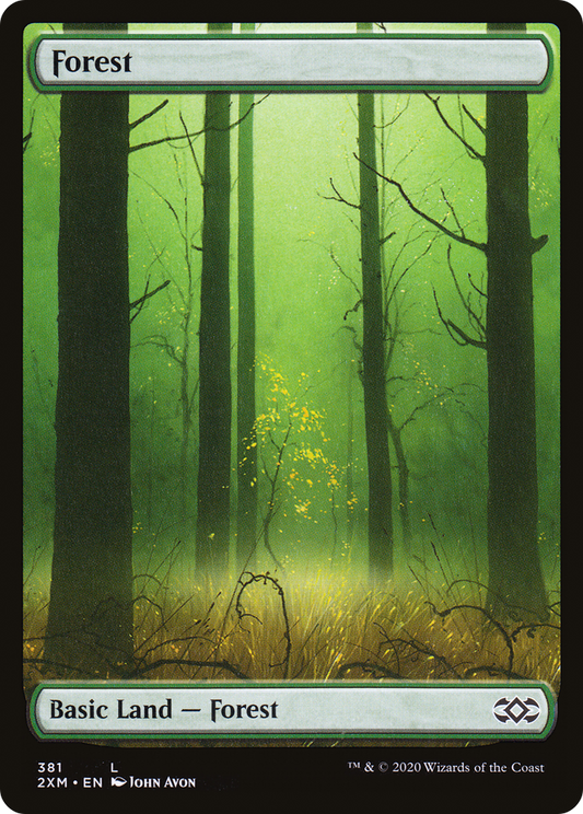 Forest (2XM-381)