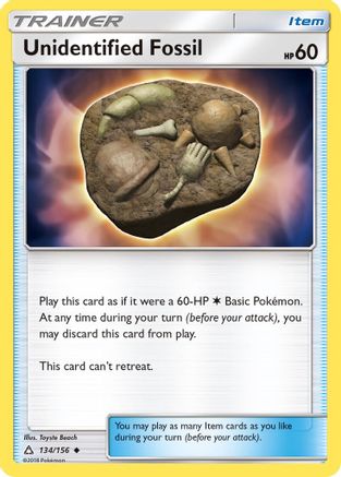 Unidentified Fossil (UPR-134)