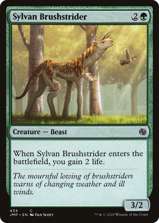 Sylvan Brushstrider (JMP-434)