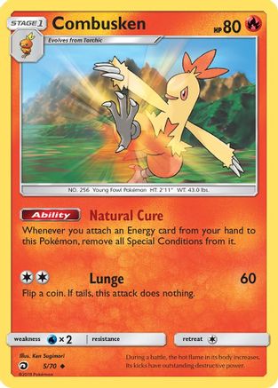 Combusken (DRM-005) (Reverse Holofoil)