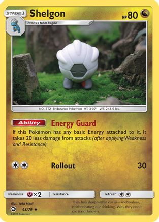 Shelgon (DRM-043) (Reverse Holofoil)