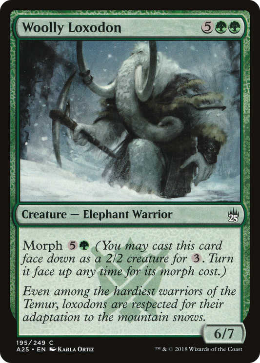 Woolly Loxodon (A25-195)