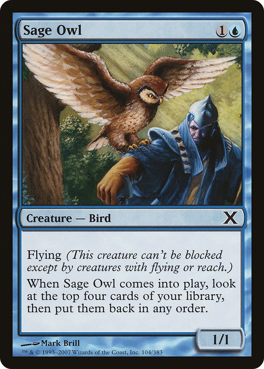 Sage Owl (10E-104)