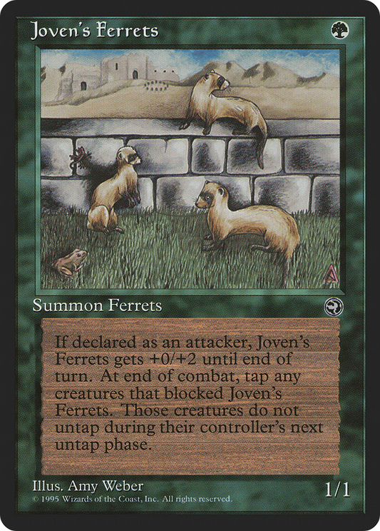 Joven's Ferrets (HML-089)