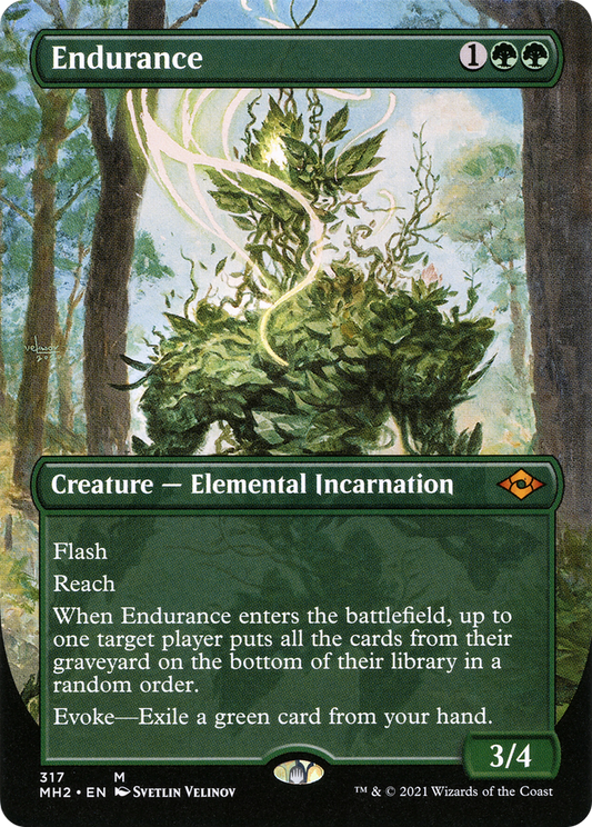 Endurance (MH2-317) (Borderless)
