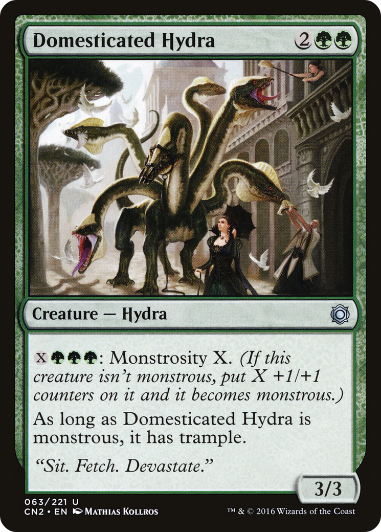 Domesticated Hydra (CN2-063)